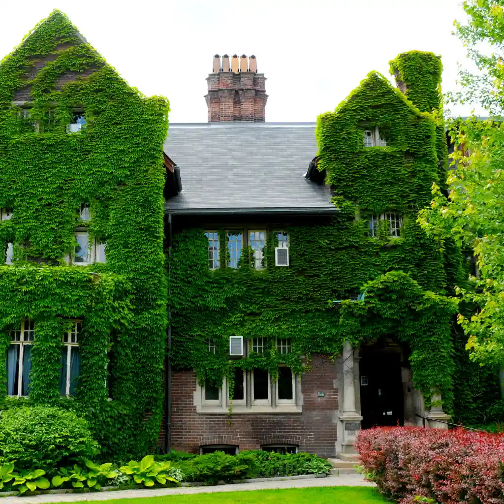 Zielona ściana czy zaniedbana elewacja? Co zrobić z mchem i porostami na tynku?